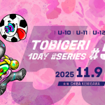 TOBIGERI 1DAY SERIES #50 CHIBA KEMIGAWA